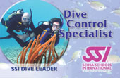 Diveconcard03