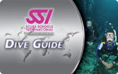 GuideCard